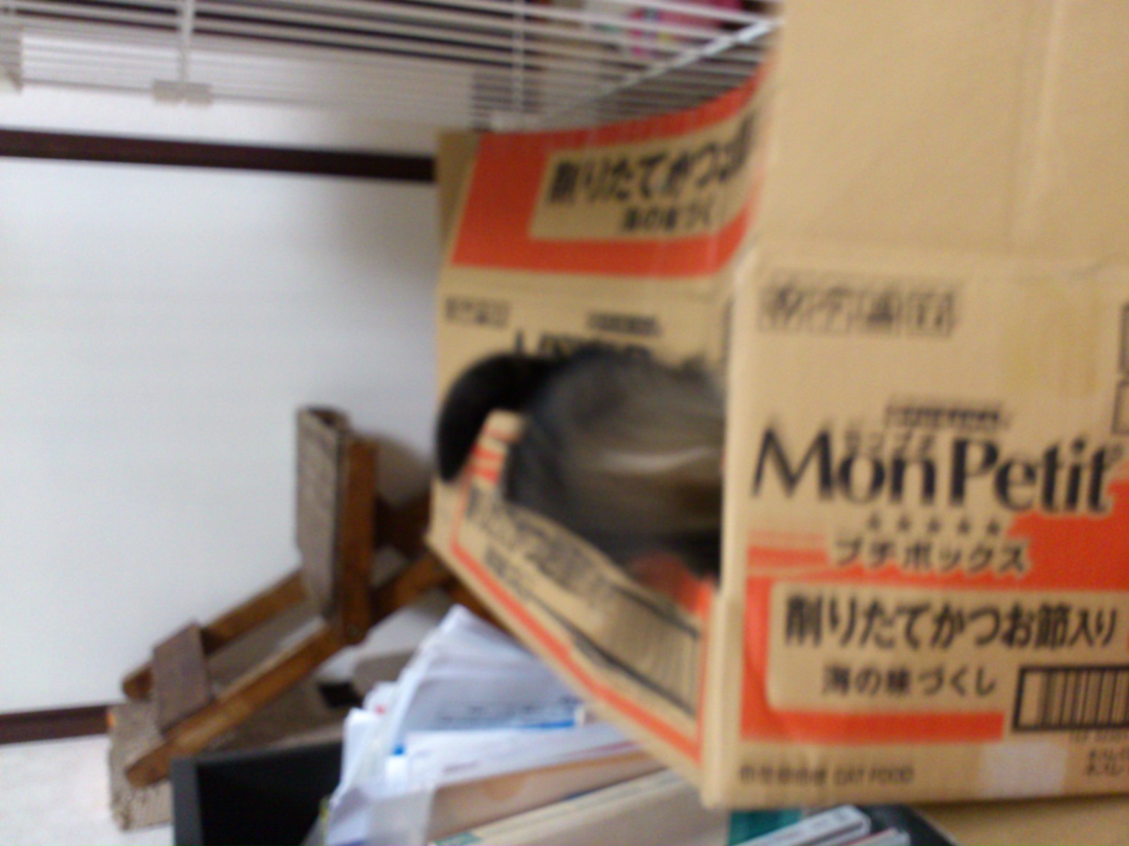 a0230928_22482055.jpg