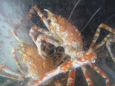 c0078032_9223750.jpg