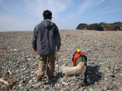 e0158841_10551935.jpg