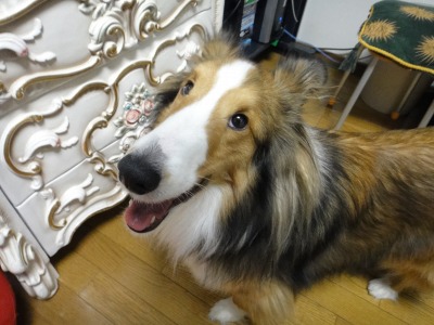 思い出すのに時間がかかる_e0195743_1843296.jpg