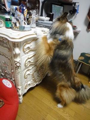 思い出すのに時間がかかる_e0195743_1844574.jpg