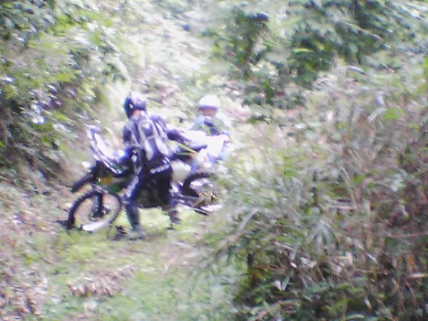 e0086244_9553042.jpg