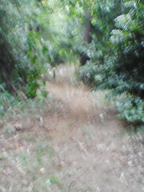 e0086244_9554484.jpg