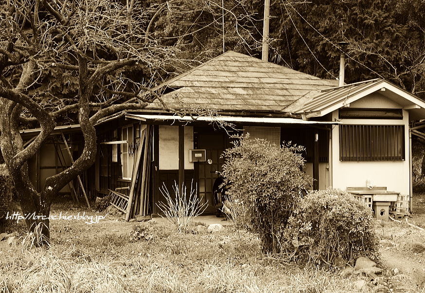 f0045844_11152441.jpg