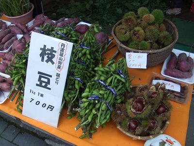 丹波篠山味まつり c級呑兵衛の絶好調な千鳥足 丹波篠山味まつり c級呑兵衛の絶好調な千鳥足
