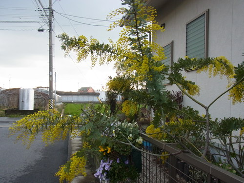 b0194267_208569.jpg
