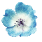 d0243667_145924.png