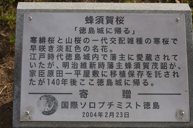 f0140087_1075029.jpg