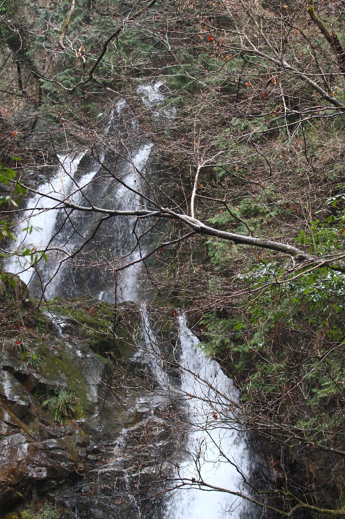 e0167295_22395284.jpg