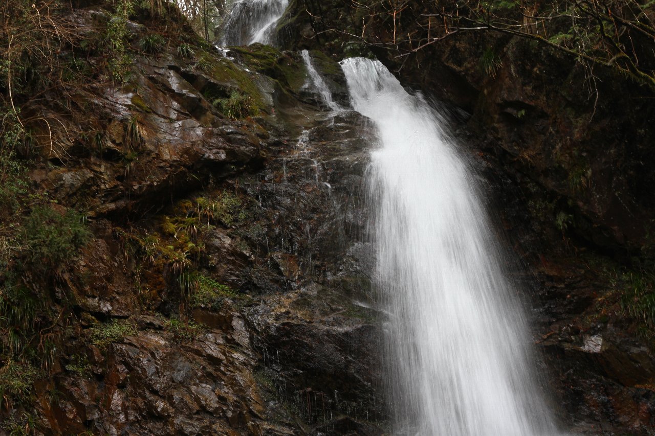 e0167295_22403739.jpg