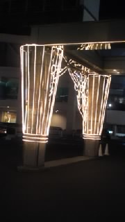 f0063203_20292082.jpg