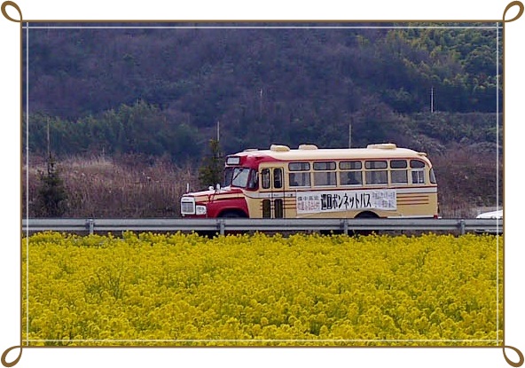 笠岡菜の花畑_c0037204_22303351.jpg