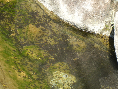e0211806_21541981.jpg