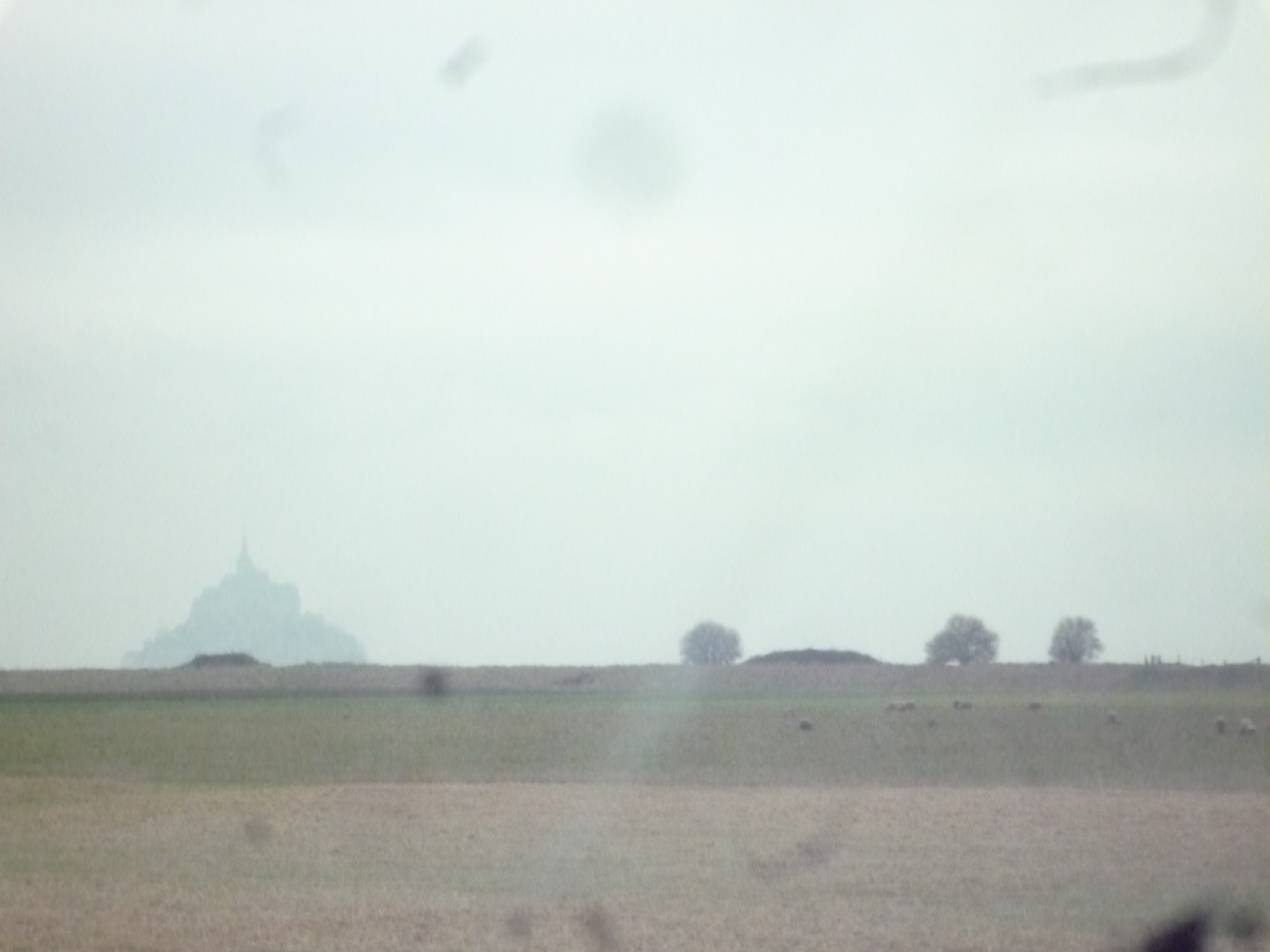 f0180307_20151627.jpg