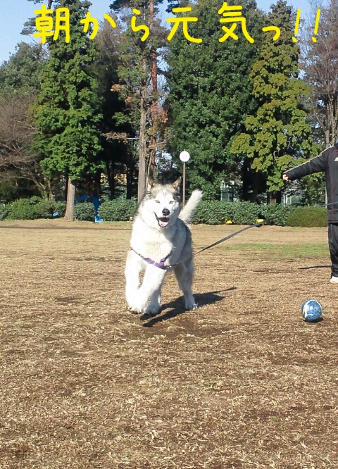 ♪ご報告＆嬉しいプレゼント♪_d0241911_11113047.jpg