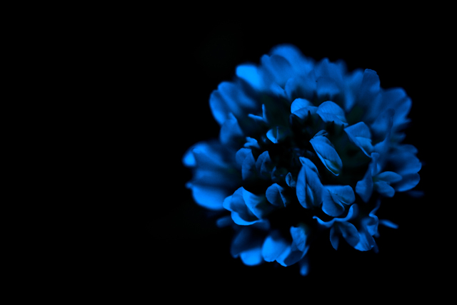 a0257514_8353452.jpg