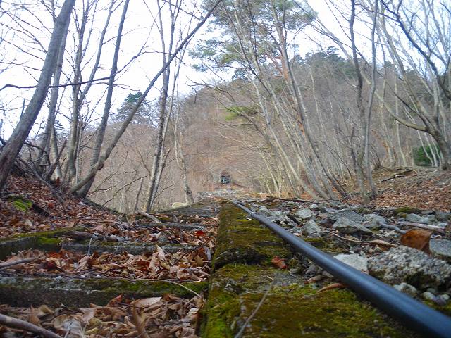 a0243317_1815128.jpg