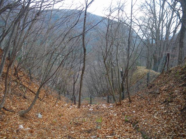 a0243317_1821398.jpg