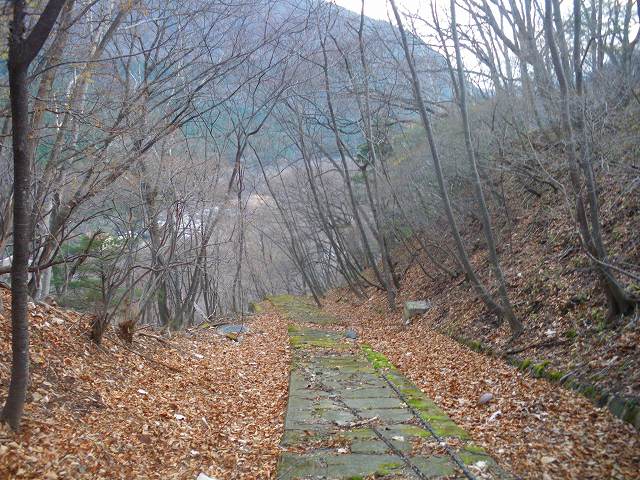 a0243317_18243917.jpg
