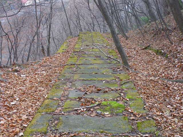 a0243317_18252447.jpg