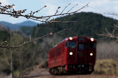 b0230319_22113283.jpg