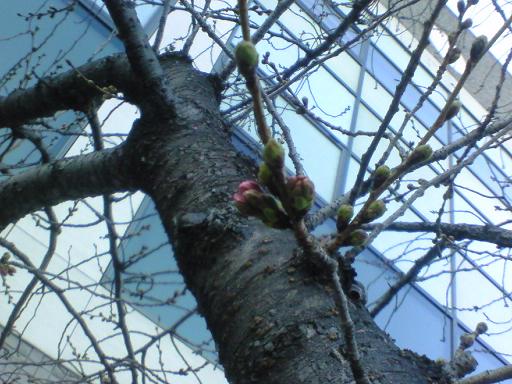 c0097620_2137515.jpg