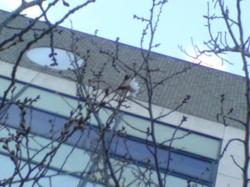 c0097620_2138431.jpg
