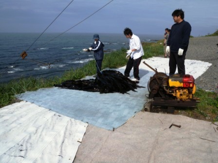 北海道えりも町「えりも地域力発掘協議会」被災地支援活動 其の二_b0206037_16454887.jpg