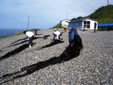 北海道えりも町「えりも地域力発掘協議会」被災地支援活動 其の二_b0206037_16455752.jpg