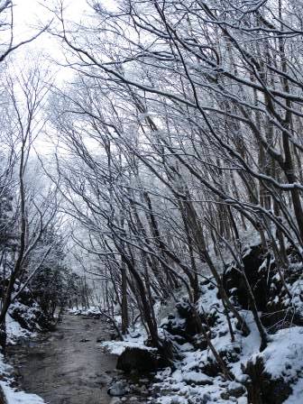 見納め?雪の龍泉洞_b0206037_9191266.jpg
