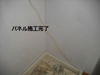 色々です。_f0031037_1953781.jpg