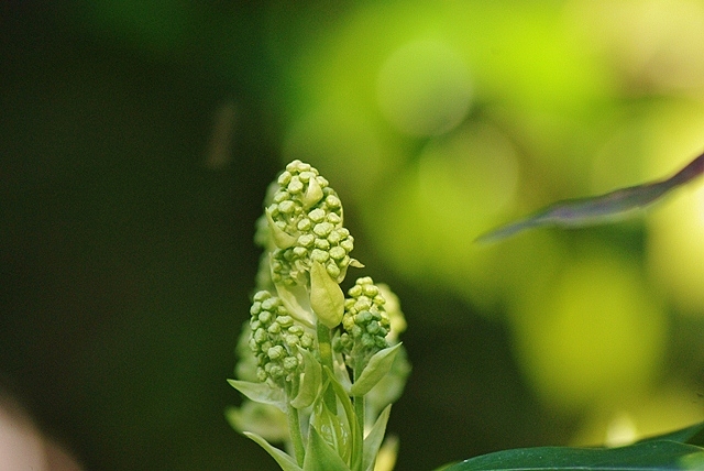 d0218238_221925100.jpg
