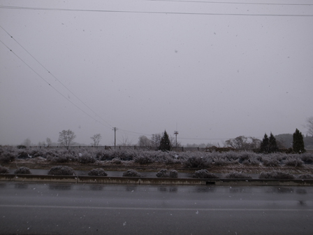 花とハーブの町に降る雪_a0014840_2334961.jpg