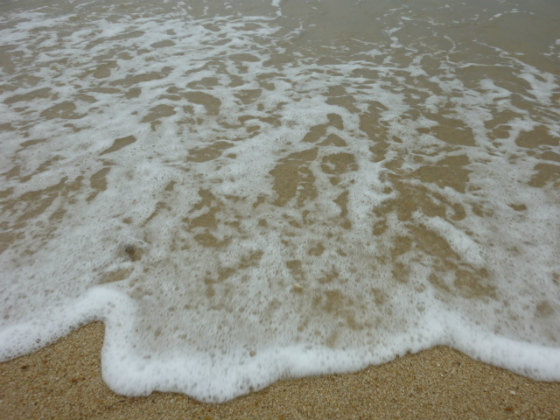 e0248743_11252638.jpg
