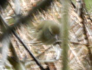 e0172950_7234545.jpg