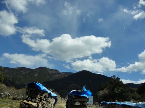 f0046854_15563420.jpg