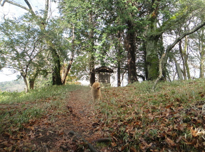 e0064457_01888.jpg