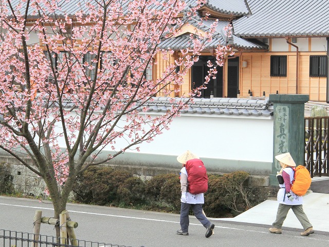 熊谷寺・蜂須賀さくらで彩り_a0148866_9471047.jpg