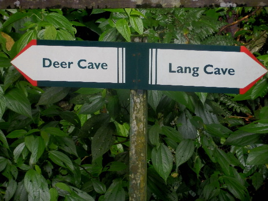 f0208666_10314051.jpg