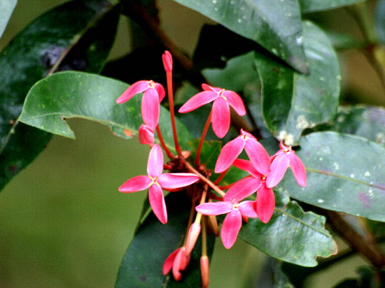 f0208666_10365660.jpg