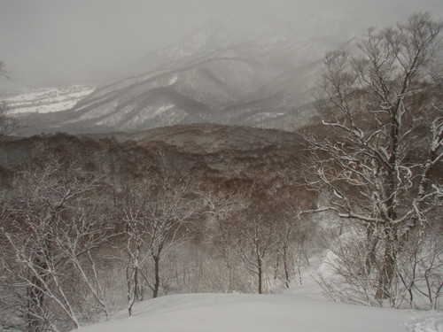 黒姫山・南面ＢＣ（テレマーク）_b0050067_16592770.jpg