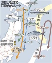 漁場と回遊ルート お気に入りの選択