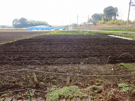 c0145581_934568.jpg