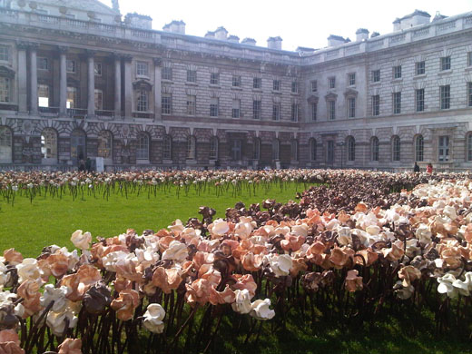 粘土のお花畑 英国と暮らす From London By Rie Suzuki