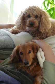 2012年3月25日 ふんふんふん。。。_b0098584_17322165.jpg