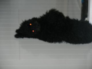 2012年3月25日 ふんふんふん。。。_b0098584_17364024.jpg