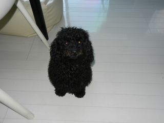 2012年3月25日 ふんふんふん。。。_b0098584_17365130.jpg