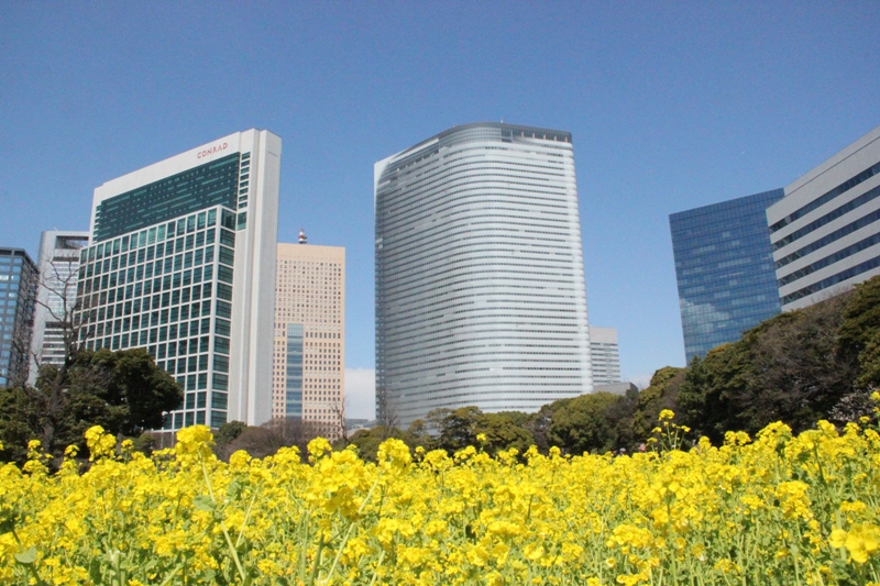 浜離宮恩賜庭園 ①_a0127090_19124668.jpg