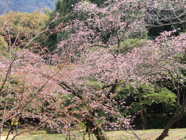 b0044296_20435978.jpg