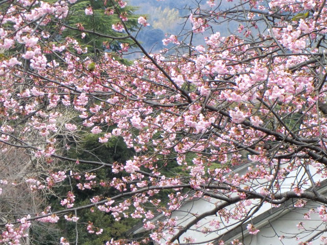 b0044296_20452100.jpg